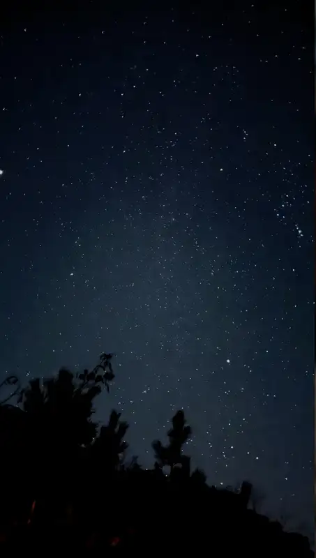 Starry Night Sky